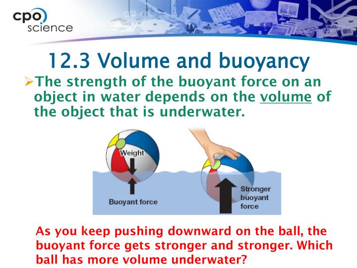 What Is Buoyancy In Marine Science at Darlene Thomas blog