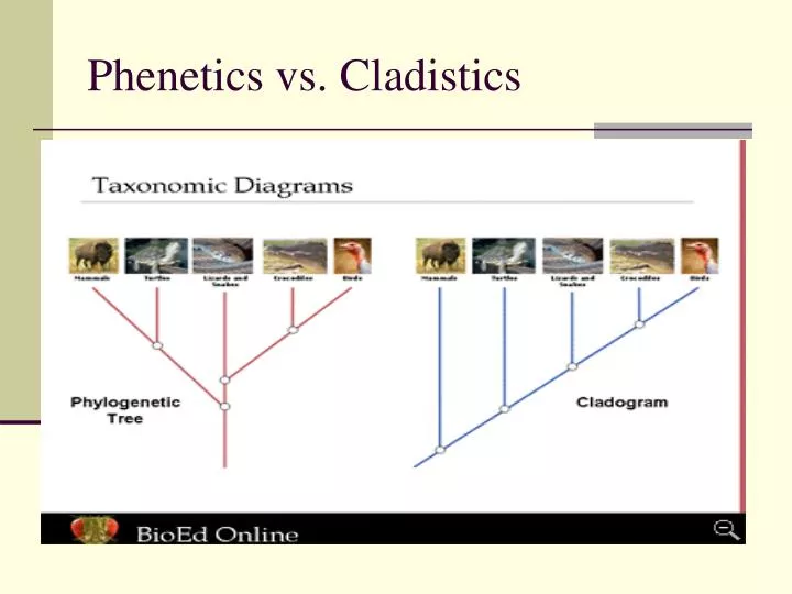 download tutorials in mathematical biosciences ii