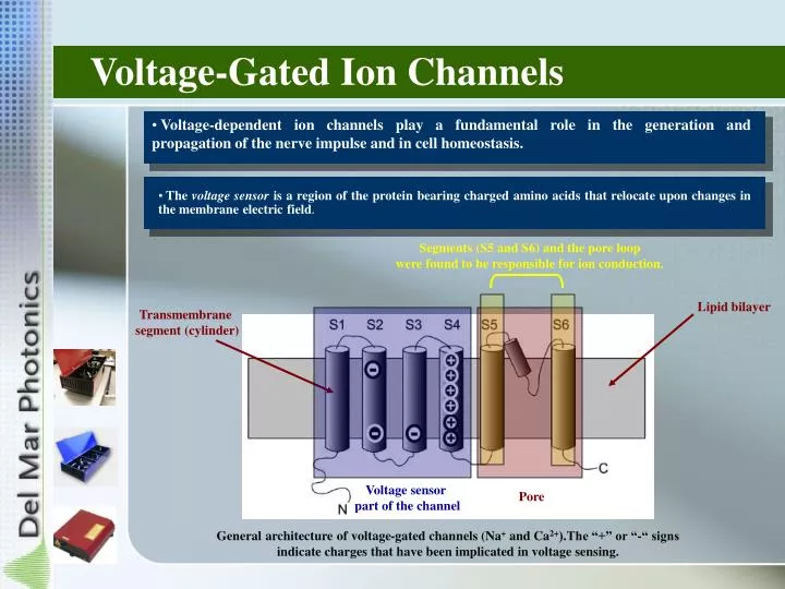 download electromagnetics and antenna