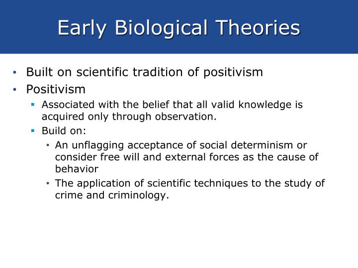 early natural ideas essay early neurological ideas essay