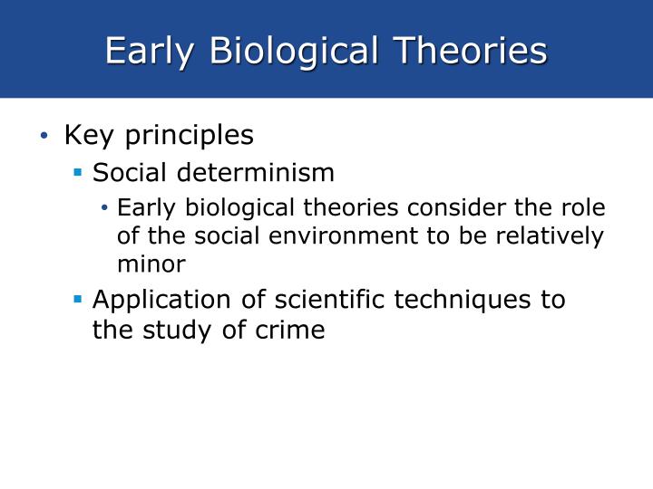 early biological possibilities essay early biological practices essay