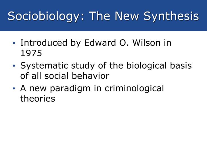 synthesise new synthesise new