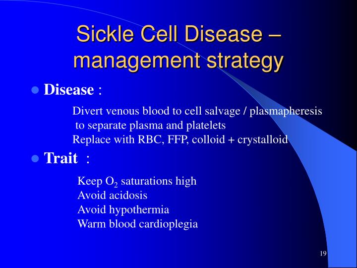 Essays On Adoption Management Of Sickle Cell Diseases Essay Saved Essays Sickle Cell Anemia Is A Disease In Which Community Essay Example also Beauty Is In The Eye Of The Beholder Essay Management Of Sickle Cell Diseases Essay Coursework Academic Service Essays On Same Sex Marriage