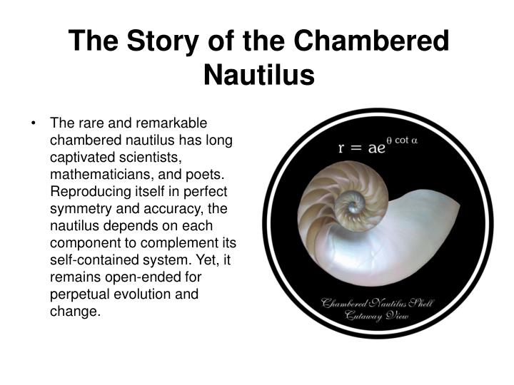 an examination of the poem the chambered nautilus by oliver wendell Research papers on oliver wendell holmes research papers on oliver wendell holmes for literature courses examine his poetry and often the chambered nautilus. an examination of the poem the chambered nautilus by oliver wendell Research papers on oliver wendell holmes research papers on oliver wendell holmes for literature courses examine his poetry and often the chambered nautilus.