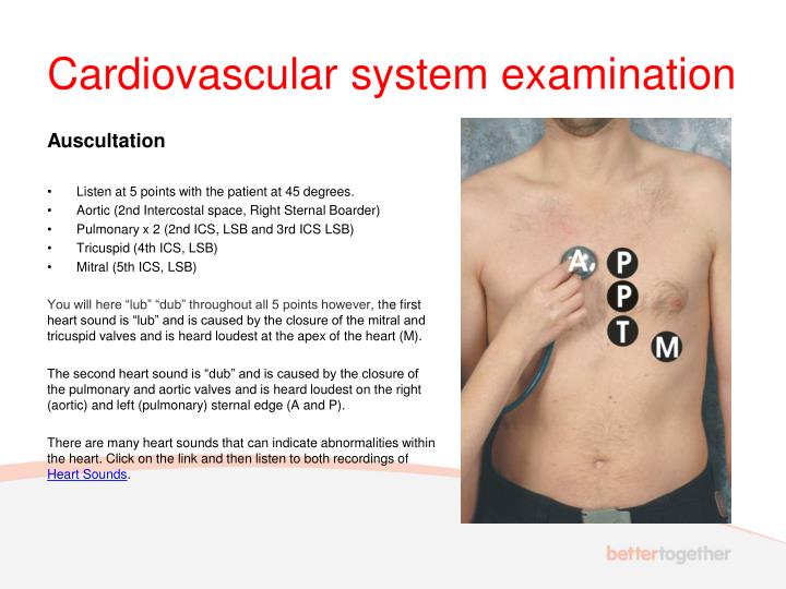 Cardiovascular System Examination Ppt cardiovascular-system-examination-ppt