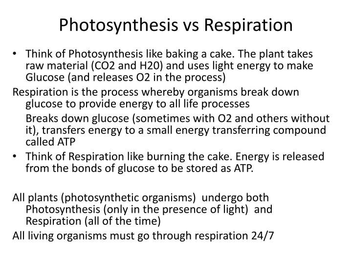 differences and similarities between respiration and What are the similarities between photosynthesis and cellular what are the similarities between what is similar between photosynthesis and cellular respiration. differences and similarities between respiration and What are the similarities between photosynthesis and cellular what are the similarities between what is similar between photosynthesis and cellular respiration.
