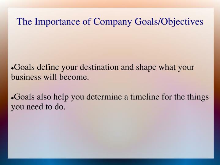 Business Plan Objectives And Goals