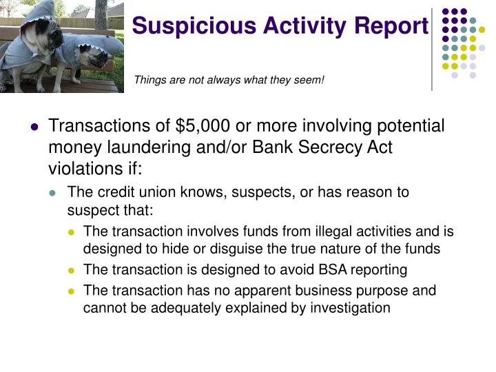PPT - Bank Secrecy Act & Anti-Money Laundering Program PowerPoint