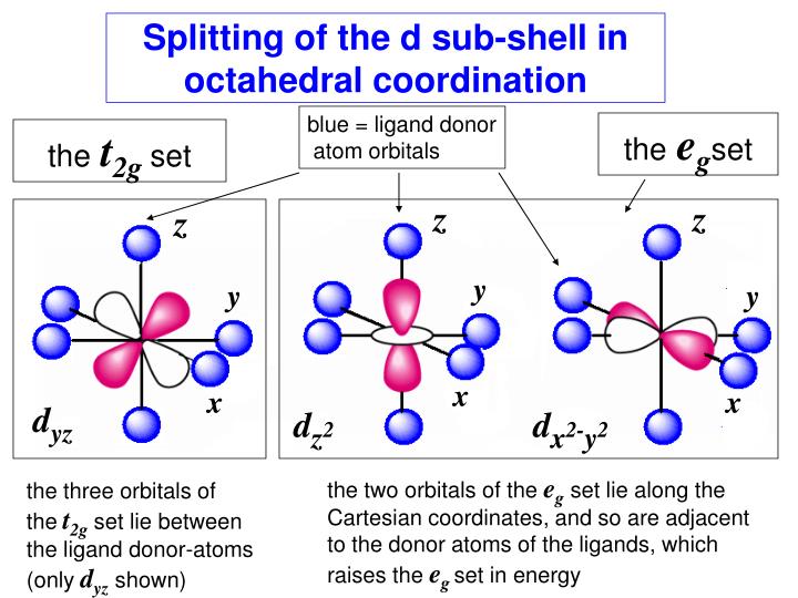 complexed ion bonding complexed ion bonding