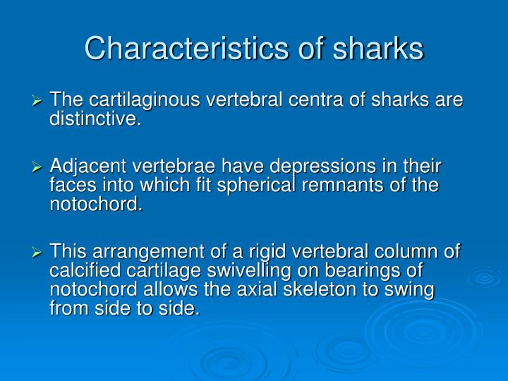 characteristics of sharks Sharks have personality traits, study suggests date: october 2, 2014 but are usually defined by individual characteristics such as how the species of shark. characteristics of sharks Sharks have personality traits, study suggests date: october 2, 2014 but are usually defined by individual characteristics such as how the species of shark.
