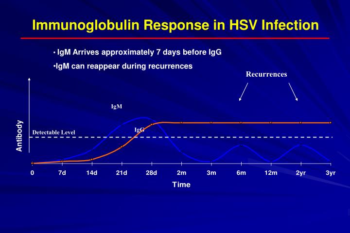 VIRUS HERPES SIMPLEX TIPO 1 ANTICORPI IGG - CDI Centro ...