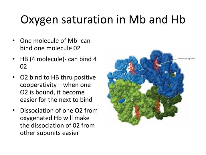 fe2 in heme becomes oxidized to fe3 essay 24synthesis of bilirubin 1 heme oxygenase-hemin reduced to ferrous iron (fe2+) by nadph-heme hydroxylated and oxidized back to ferric (fe3+) state. fe2 in heme becomes oxidized to fe3 essay 24synthesis of bilirubin 1 heme oxygenase-hemin reduced to ferrous iron (fe2+) by nadph-heme hydroxylated and oxidized back to ferric (fe3+) state.