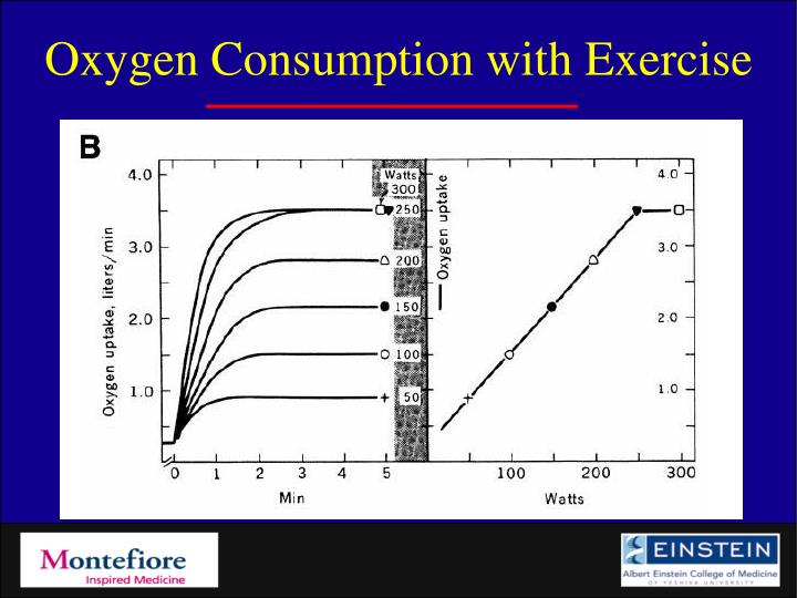 PPT Cardiopulmonary Exercise in the Aging Adult PowerPoint