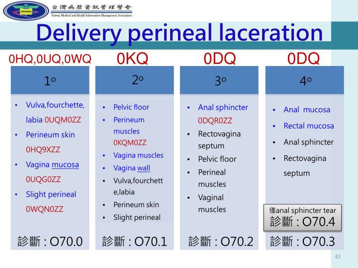 icd 10 code for scalp laceration repair