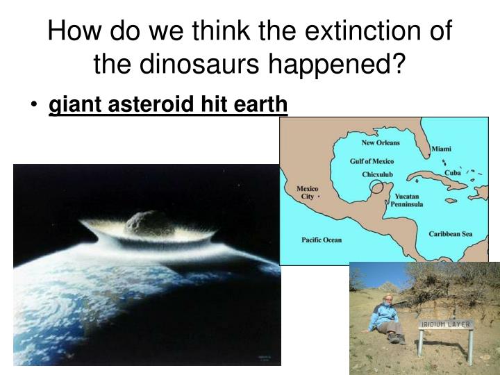 extinction of dinosaurs cause