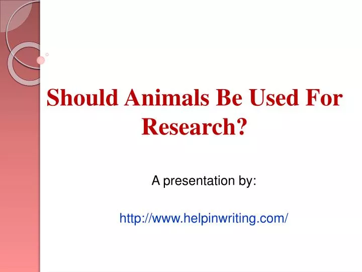 Should Animals Be Used For Research Essay
