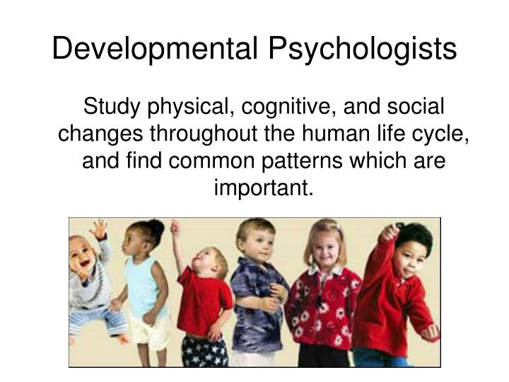 developmental psychologists Development in infancy and childhood in utero, the brain develops rapidly, developmental psychologists also study personality development in children. developmental psychologists Development in infancy and childhood in utero, the brain develops rapidly, developmental psychologists also study personality development in children.