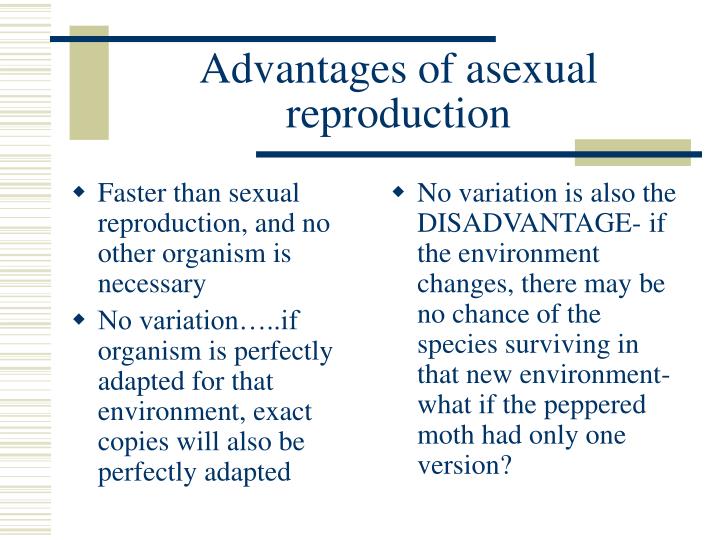 What Are The Advantages Of Sexual Over Asexual Reproduction My Xxx