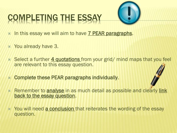 The veldt essay