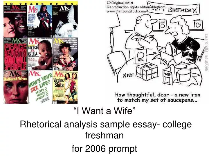 Rhetorical Analysis Essay Sample