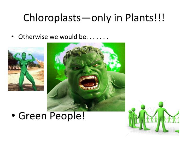 Ppt - The Cell As A U201ccity U201d Powerpoint Presentation