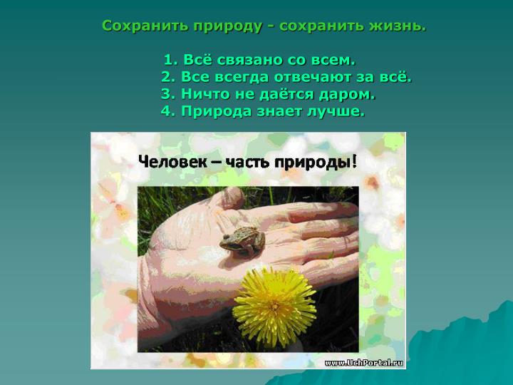 Сохрани природу сохрани жизнь сценарий Сохрани природу сохрани жизнь сценарий