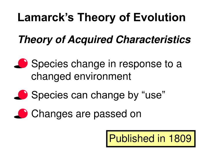 lamarcks influence on the development of darwins theory of evolution Darwin's theory of evolution - a theory in crisis in light of the tremendous advances we've made in molecular biology, biochemistry, genetics and information theory. lamarcks influence on the development of darwins theory of evolution Darwin's theory of evolution - a theory in crisis in light of the tremendous advances we've made in molecular biology, biochemistry, genetics and information theory.