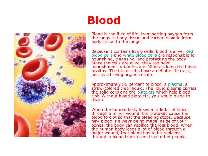 How fast does the body replace blood?