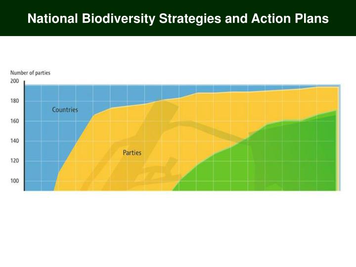 National biodiversity strategy and action plan kenya