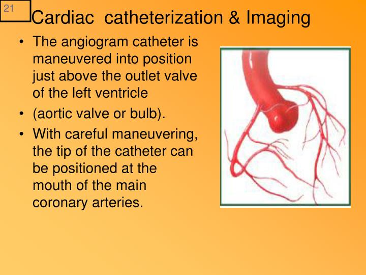 For shaved for heart cath something is Shaved for heart cath