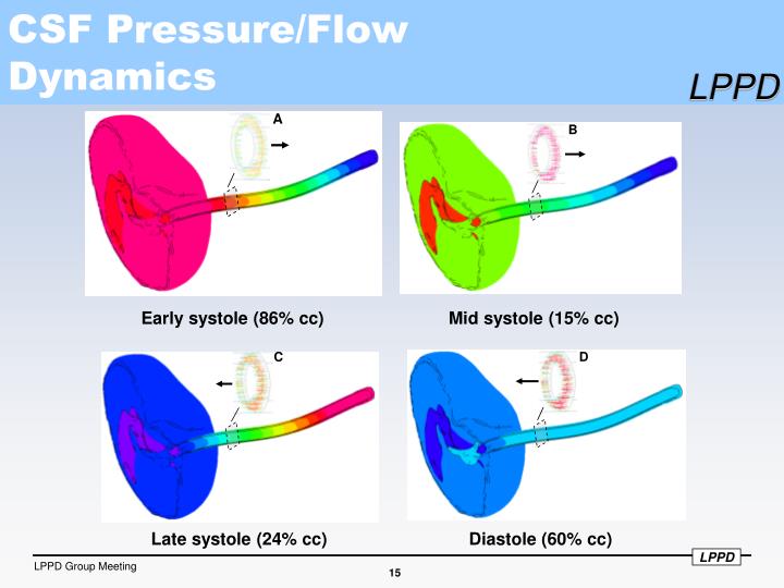 PPT Measurements and Computational Modeling of Cerebrospinal Fluid