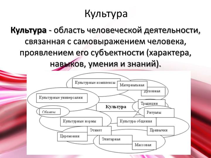 Связанные с их сферой деятельности этапы Связанные с их сферой деятельности этапы