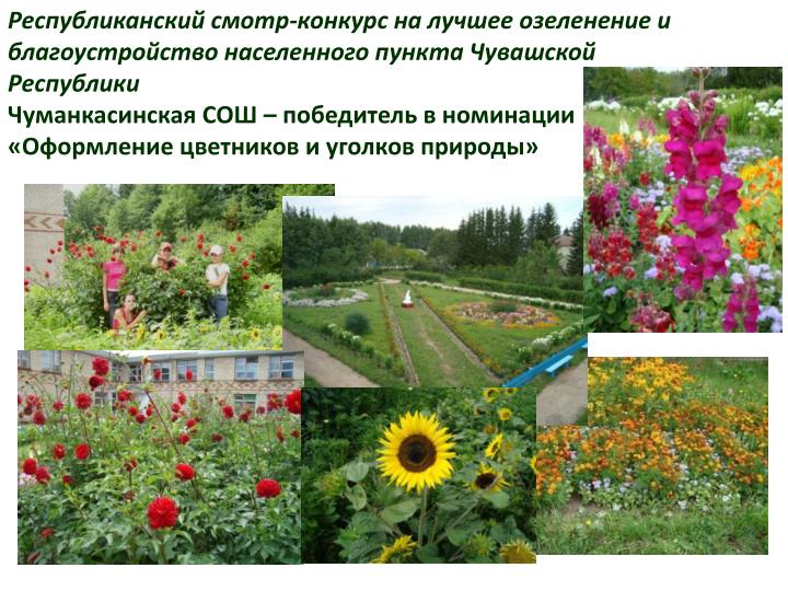 Конкурс на лучшее озеленение и благоустройство населенных пунктов Конкурс на лучшее озеленение и благоустройство населенных пунктов