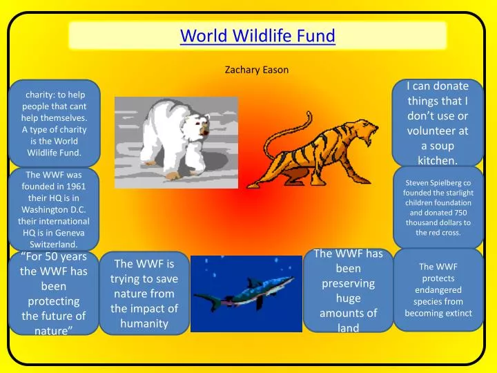 PPT - World Wildlife Fund PowerPoint Presentation, free download -  ID:5372379