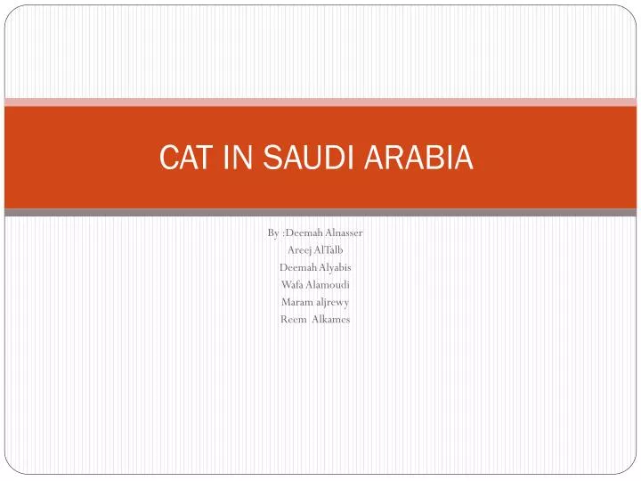 PPT CAT IN SAUDI ARABIA PowerPoint Presentation, free download ID