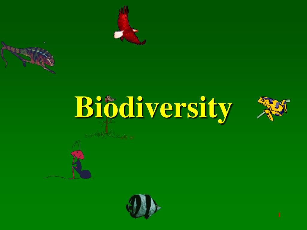 Ppt Biodiversity Powerpoint Presentation Free Download Id5374468