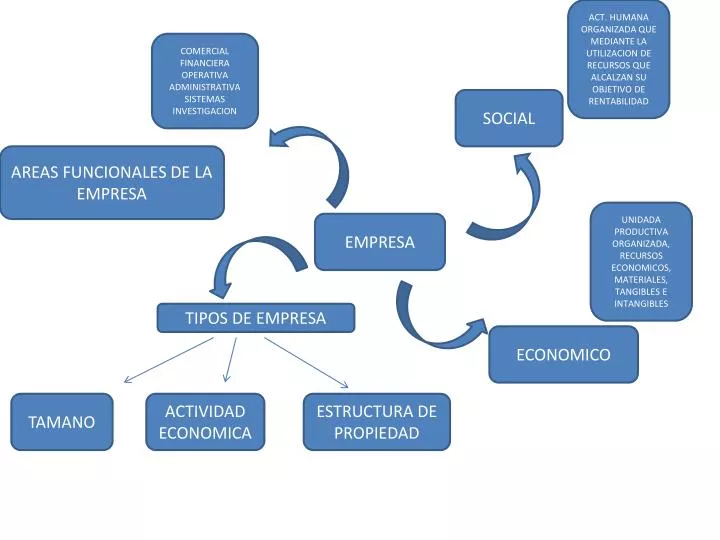 ⊛ Cuáles son las áreas funcionales de una empresa【2024