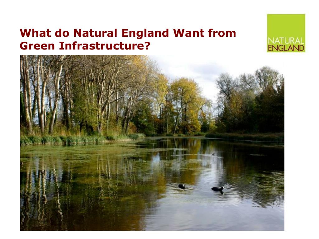 PPT - Green Infrastructure and the National Health Service PowerPoint 