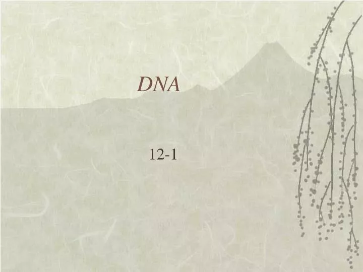 PPT - DNA PowerPoint Presentation, free download - ID:5375685