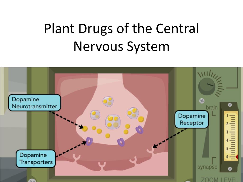 PPT - Plant Drugs of the Central Nervous System PowerPoint Presentation -  ID:5375910