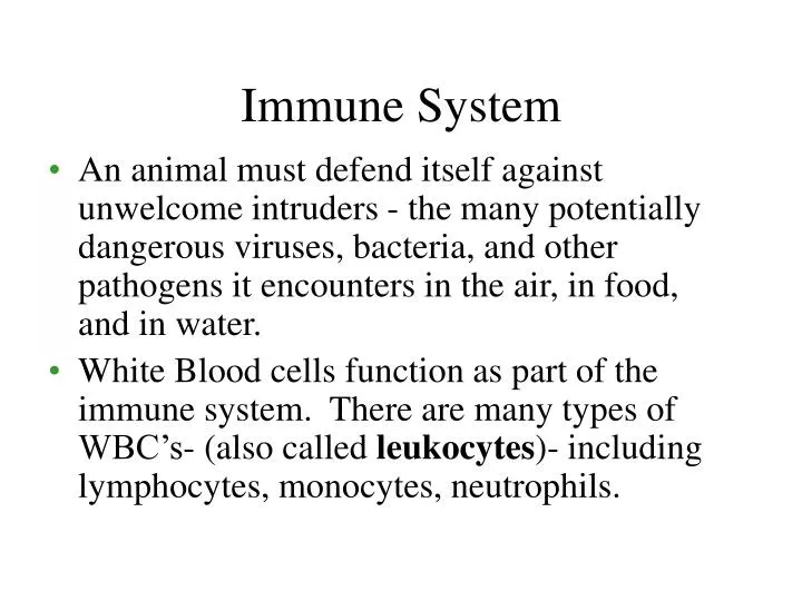 White Blood Cells Function In Immune System