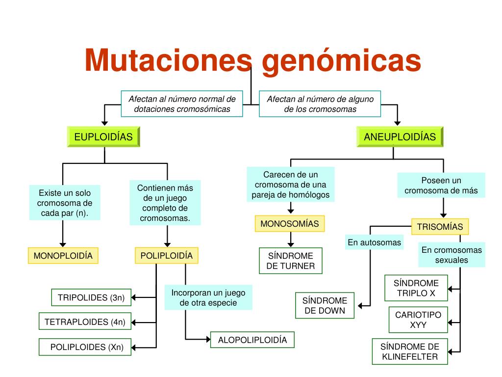 Mutaciones que producen cetosis