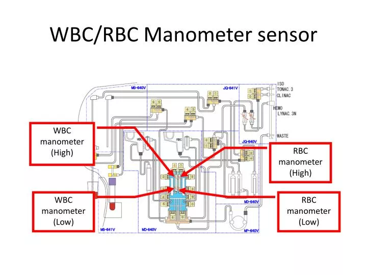 PPT WBC RBC Manometer Sensor PowerPoint Presentation Free Download 