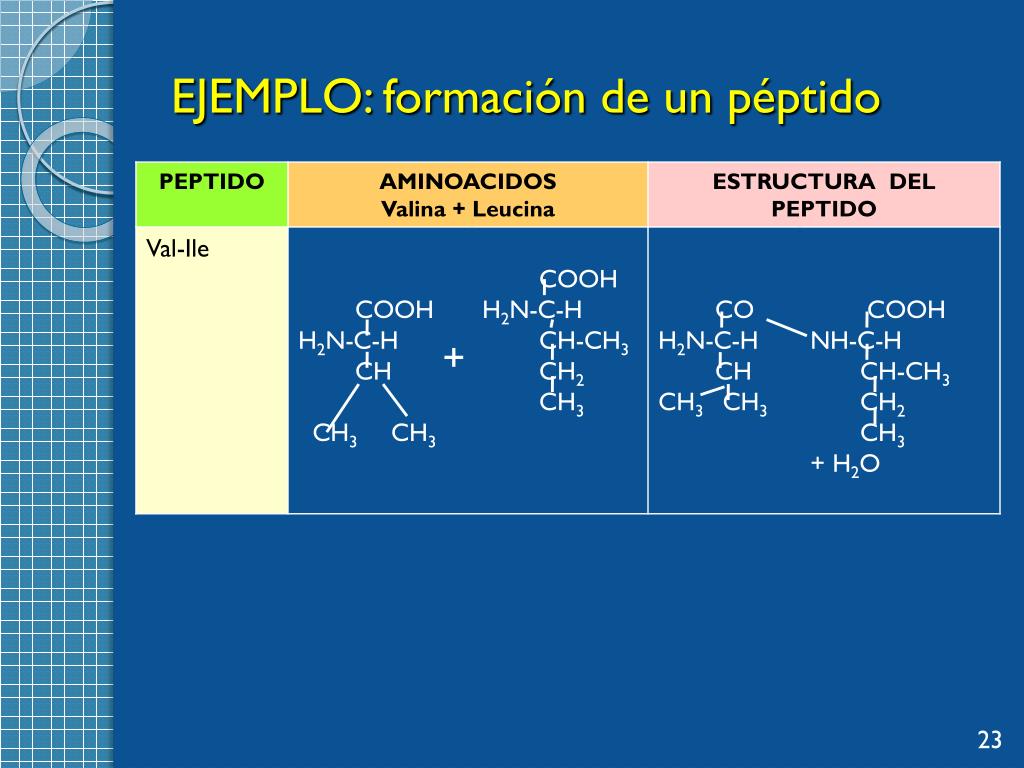 Ppt Aminoacidos Y Péptidos Semana 29 2014 Powerpoint Presentation Free Download Id5376235 8510