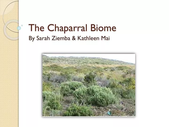 a short description of the major ecosystem chaparral And 3,500 colleges through major programs and services in college admissions ecosystem energy flow required on the ap environmental science exam. a short description of the major ecosystem chaparral And 3,500 colleges through major programs and services in college admissions ecosystem energy flow required on the ap environmental science exam.
