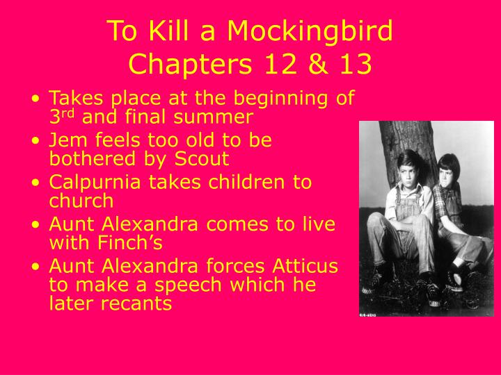 To kill a mockingbird chapters 12 15