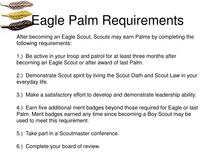 PPT Eagle Application Process PowerPoint Presentation ID5377385