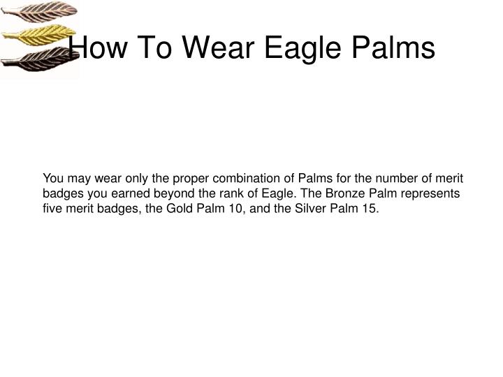 PPT Eagle Application Process PowerPoint Presentation ID5377385