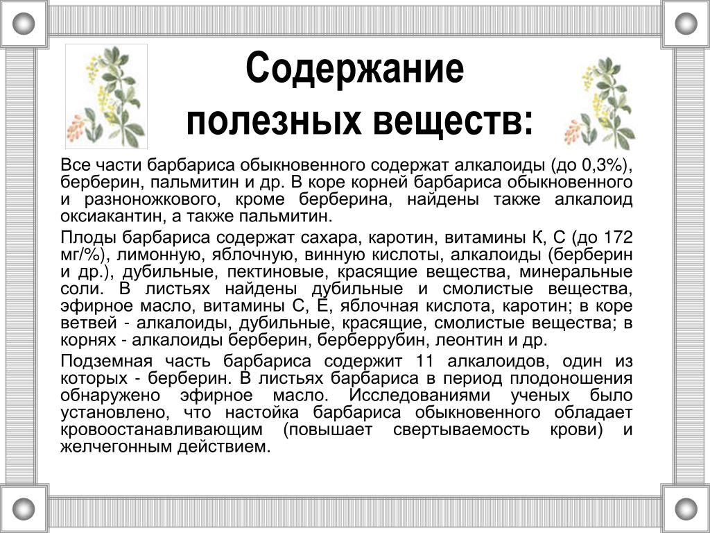 Корень Барбариса Купить В Аптеке