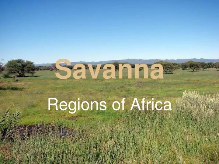 savanna n.